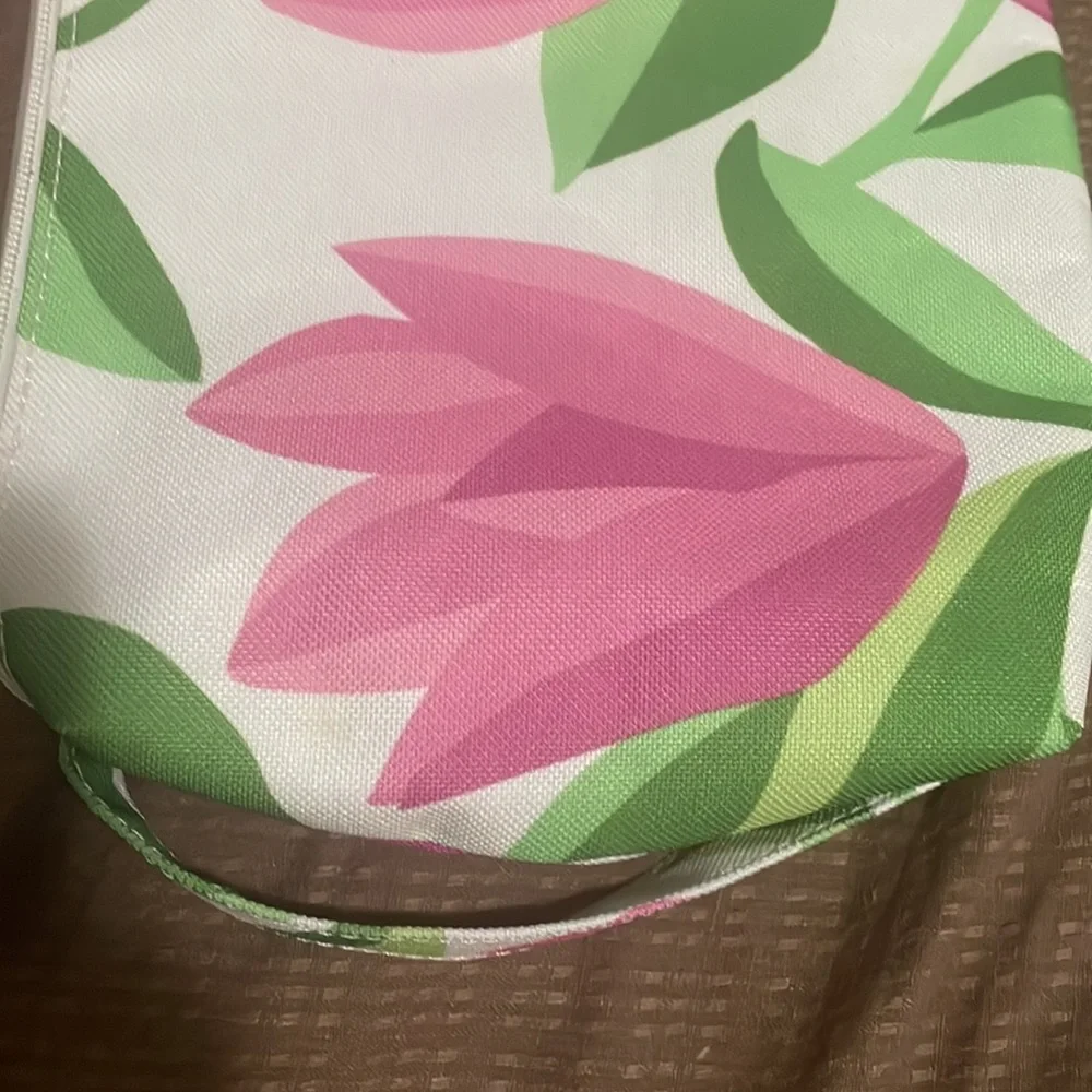 Clinique bag and cleanser